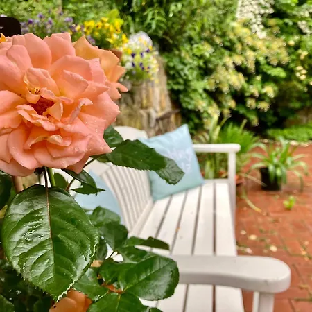 Gaestehaus Alte Liebe Inn *