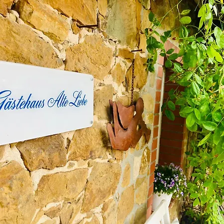 אורחן Gaestehaus Alte Liebe Borgholzhausen