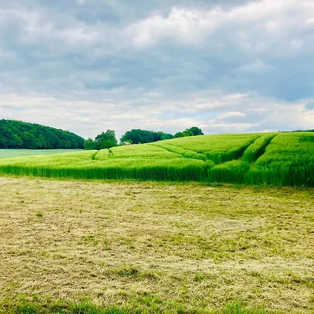 אורחן Gaestehaus Alte Liebe