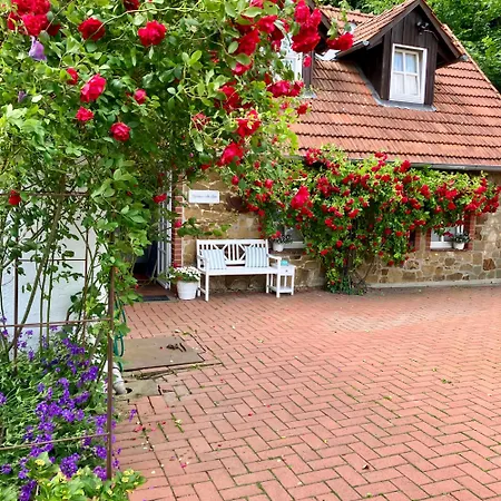 Inn Gaestehaus Alte Liebe *