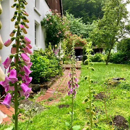 Gaestehaus Alte Liebe Borgholzhausen