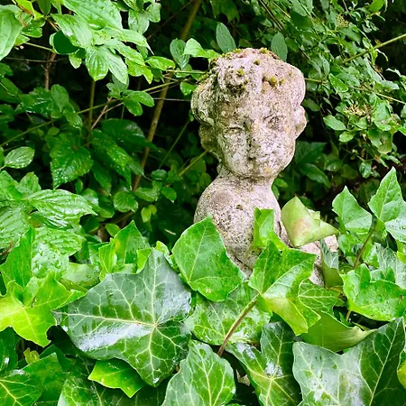 Inn Gaestehaus Alte Liebe