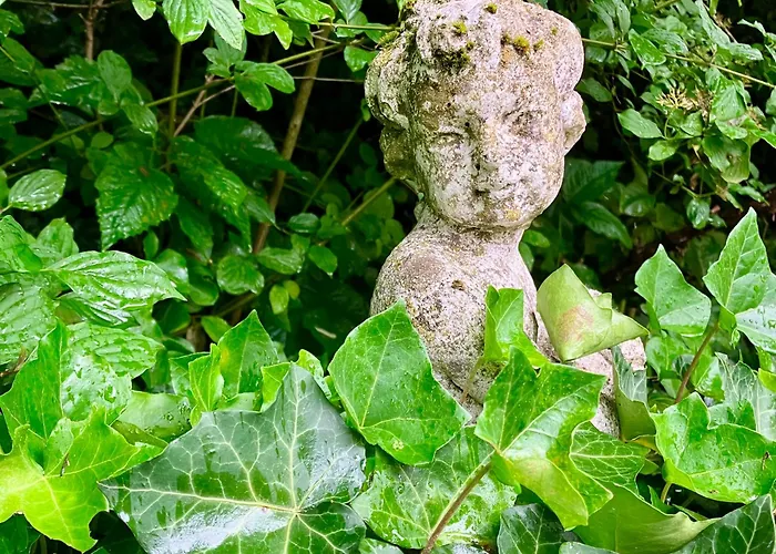 אורחן Gaestehaus Alte Liebe